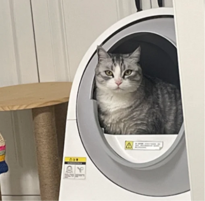 Happy CatLink customer